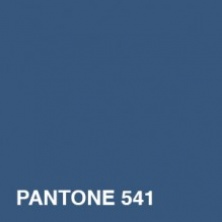 PANTONE541