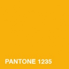 PANTONE1235